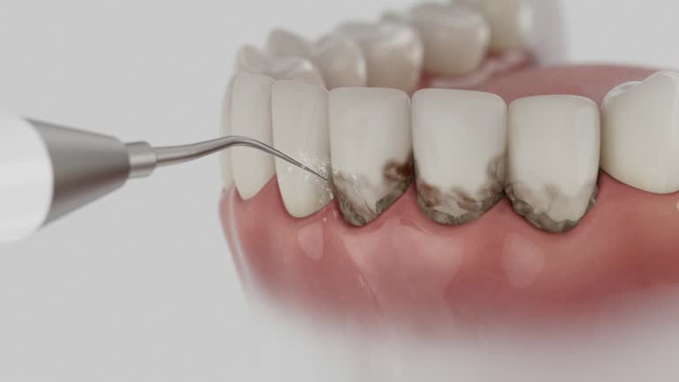 Reliable Dental contractor in Monroe, GA by Dentist Open Now